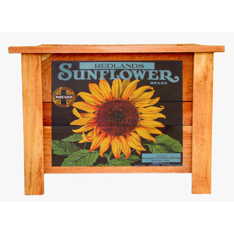 Arlmont & Co. Montelle Handmade Wood Outdoor Planter Box Wayfair